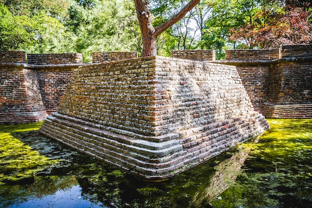 tranquil, building in ruins on a green swamp with water