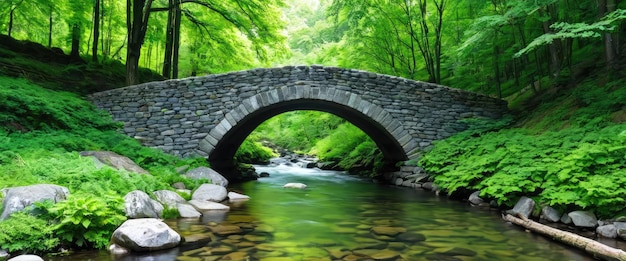 A tranquil forest scene showcases a small river gently flowing beneath a stone bridge