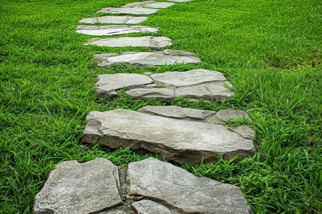 Photo tranquil garden path stone walkway through lush green lawn