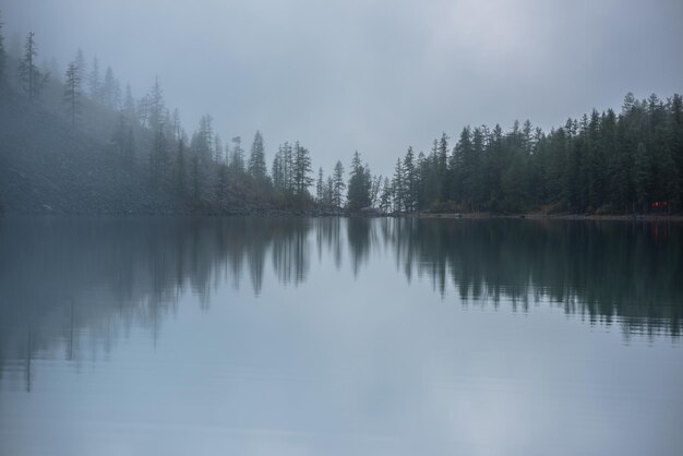 Tranquil meditative misty scenery of glacial lake with pointy fir tops reflection at early morning Graphic EQ of spruce silhouettes on calm alpine lake horizon in mystery fog Ghostly mountain lake