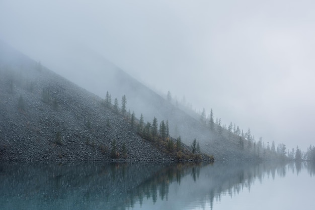 Tranquil meditative misty scenery of glacial lake with pointy fir tops reflection at early morning Graphic EQ of spruce silhouettes on hill near calm alpine lake in mystery fog Ghostly mountain lake