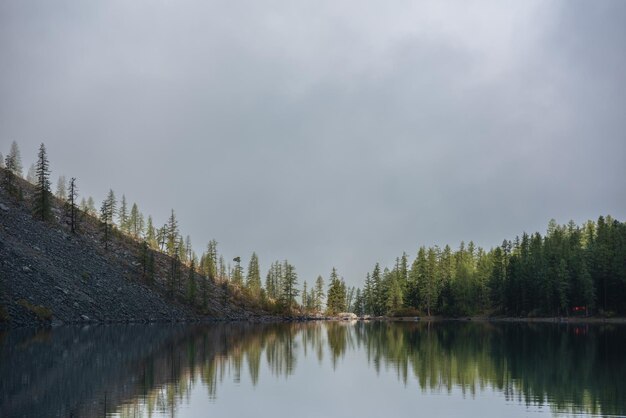 Photo tranquil meditative misty scenery of glacial lake with pointy fir tops reflection at early morning graphic eq of spruce tops in golden sunlight on alpine lake horizon in mystery fog mountain lake