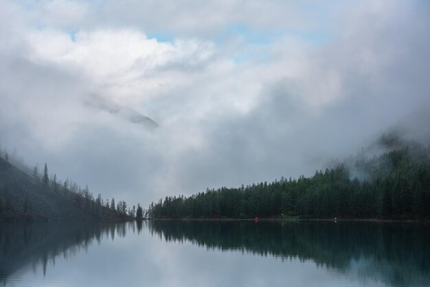 朝早くに尖った杉の頂上と雲の反射で氷河湖の静かな瞑想的な霧の風景 静かなアルプス湖の地平線で松のシルエットのグラフィックEQ 霧の山の湖