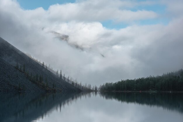 Photo tranquil meditative misty scenery of glacial lake with reflection of pointy fir tops and clouds at early morning graphic eq of spruce silhouettes on calm alpine lake horizon mountain lake in fog