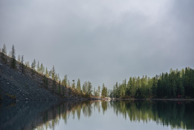 Фото Спокойный медитативный туманный пейзаж ледникового озера с острыми вершинами елки отражение в раннее утро графический эквивалент вершин елей в золотом солнечном свете на альпийском озере горизонт в таинственном тумане горное озеро
