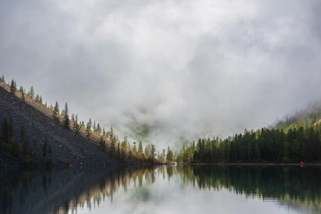 Tranquil meditative scenery of glacial lake with pointy fir tops reflection and forest hill in thick low clouds Graphic EQ of spruce tops on alpine lake in dense fog Mountain lake at early morning