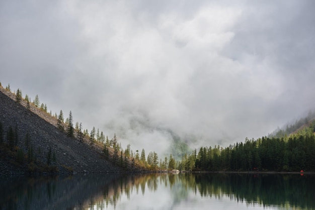 Tranquil meditative scenery of glacial lake with pointy fir tops reflection and forest hill in thick low clouds Graphic EQ of spruce tops on alpine lake in dense fog Mountain lake at early morning
