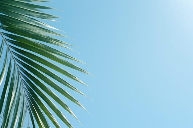 Tranquil Retreat Coconut Palm Leaf Casting Shade op een blauwe muur die sereniteit oproept Generatieve AI