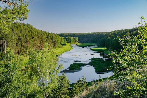 Фото Спокойная река в зеленых летних лесах