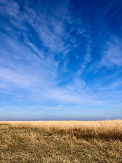 Tranquil rural landscape under the sun and a blue sky with veils of clouds