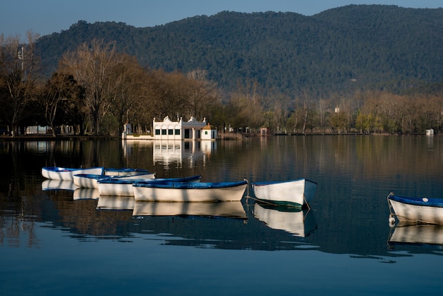 Tranquilla scena di un gruppo di barche ormeggiate sul lago con le montagne