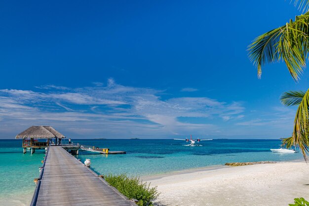 Tranquil scenery relaxing beach tropical landscape sandy beach shore blue sunny sky sea view