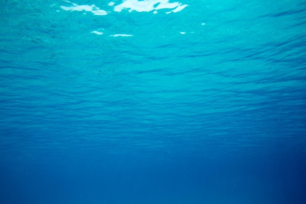 Фото Спокойная подводная сцена с копировальным пространством