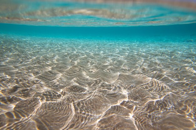 Tranquil underwater scene with copy space