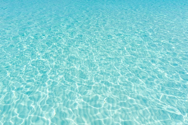 Tranquil underwater scene with copy spacexAxA