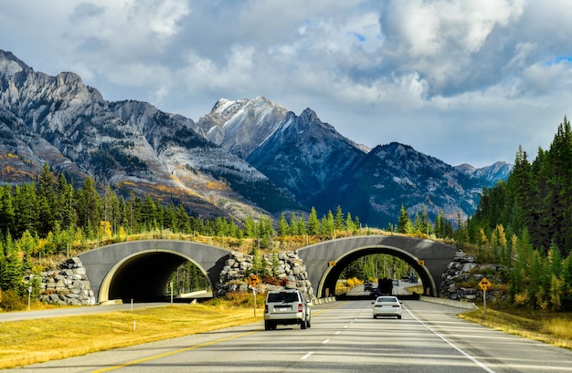 Photo transcanada highway in banff national park canada