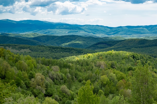 Transcarpathia landscape. Scenic view beauty. Panorama of mountain. Grassy field, rural scenery.