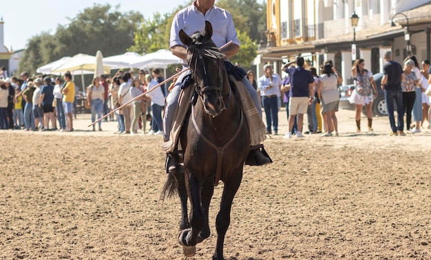 Foto il trasferimento di cavalle è un evento di bestiame a el rocio huelva spagna in spagnolo chiamato saca de yeguas