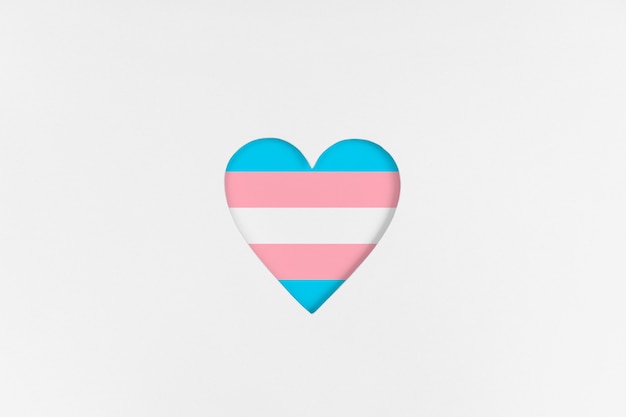 transgender flag on heart shape isolated on white cardboard background