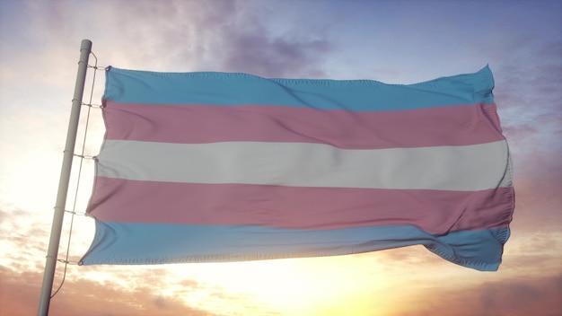 Transgender pride flag waving in the wind, sky and sun background. 3d rendering.