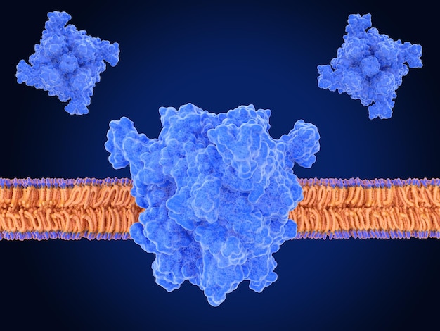 Photo the transient receptor potential channel trpm7