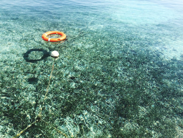 Foto il mare traslucido di ibiza