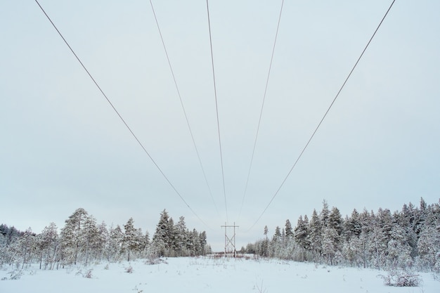 Transmissielijn in de winter besneeuwde dag. Elektriciteit transport concept