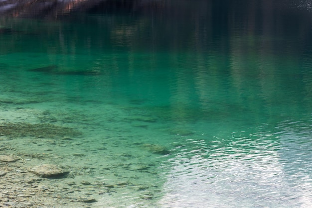 Transparant smaragdgroen ondiep water nabij de kust van het Tovel-meer, Ville d'Anaunia, Trentino, Italië