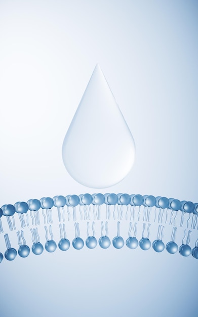 Transparante cytomembrane structuur 3D-rendering