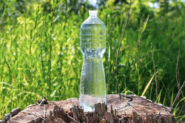 Transparante fles met water op een boomstronk in het gras op de zomer, dorstlesser concept.