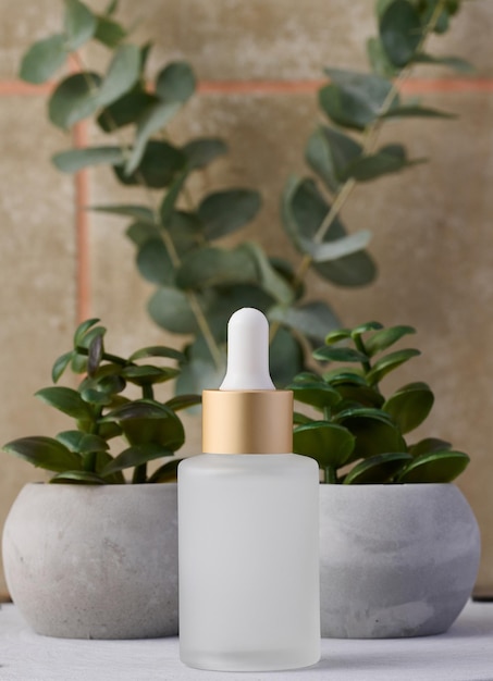 Transparante glazen fles met een pipet naast een tak eucalyptus Cosmetica