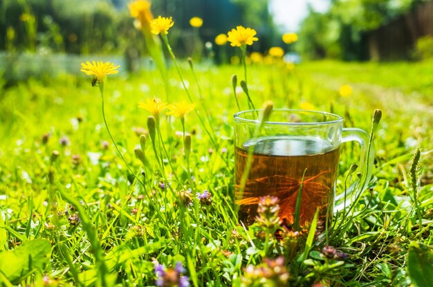 Transparante mok met verse hete bessen zwarte thee en bes een verkwikkende drank in de vroege ochtend in de natuur met de stralen van de warme zon