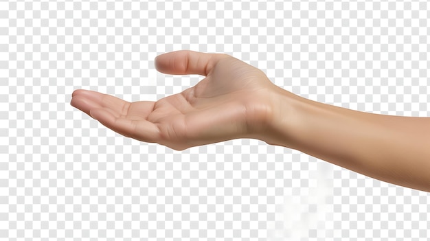 Photo transparent background of a hand reaching out the hand is slightly cupped and the fingers are spread apart