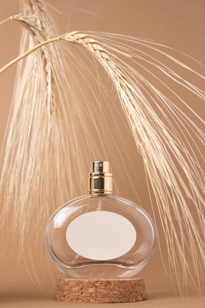 Transparent bottle of perfume on a beige background Fragrance presentation Trending concept in natural materials with ear of barley Women's and men's essence