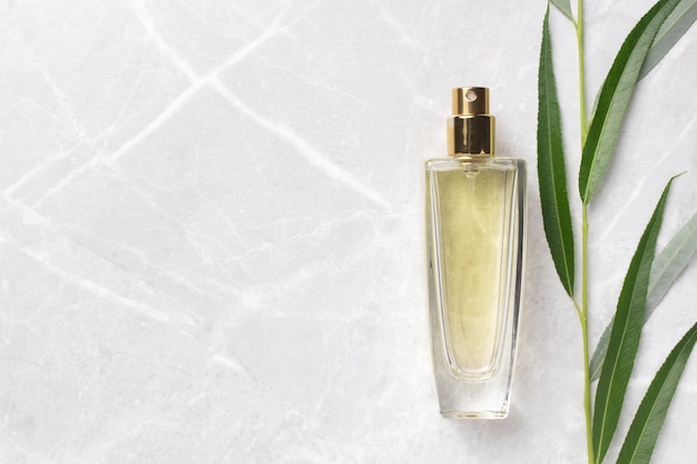 Transparent bottle of perfume on a marble background Fragrance presentation with branch leaves Women's and men's essence Copy space