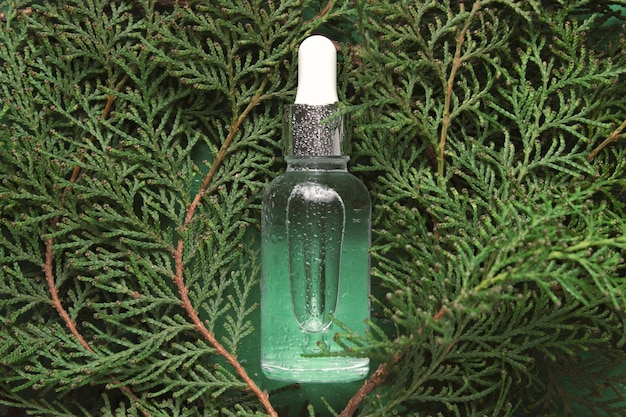 Transparent bottle with beauty serum hyaluronic acid on green background with thuja branches Concept of natural organic cosmetics Herbal homeopathic products