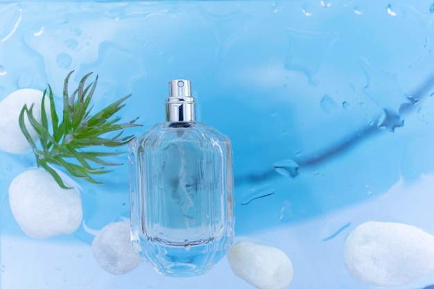 A transparent bottle with womens, mens perfume with white stones and a tropical plant.Summer concept