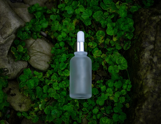 A transparent cosmetic bottle with a pipette lies on the grass near the stones