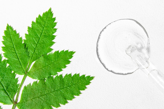 Transparent cosmetic liquid on a white background with a large\
green leaf of a plant eco cosmetics