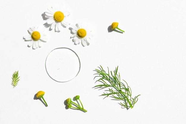 A transparent drop of a cosmetic product on a white textured background with medicinal chamomile