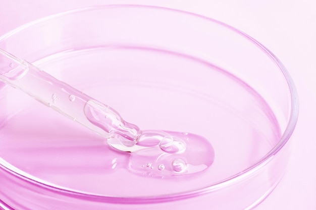 Transparent gel flowing from a pipette into a Petri dish On a pink background Closeup