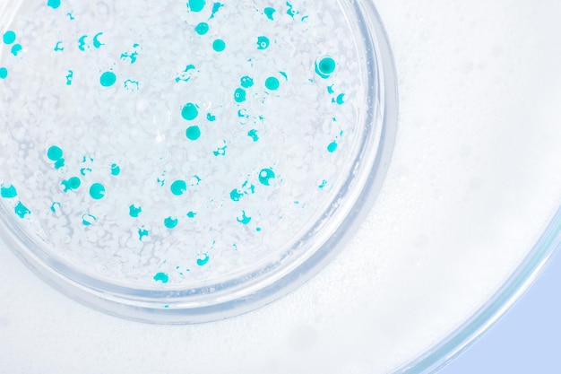 Transparent gel with pellets in a Petri dish On a blue background