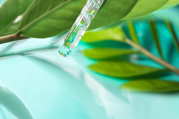 Transparent hyaluronic acid in a glass pipette against the background of green leaves of the plant