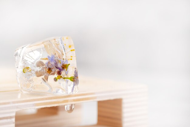 Transparent ice cubes with frozen flowers inside