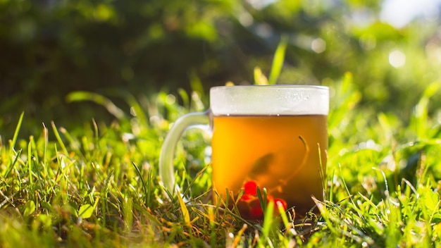 Foto tazza trasparente con tè nero fresco ai frutti di bosco e ribes una bevanda tonificante al mattino presto nella natura con i raggi del caldo sole