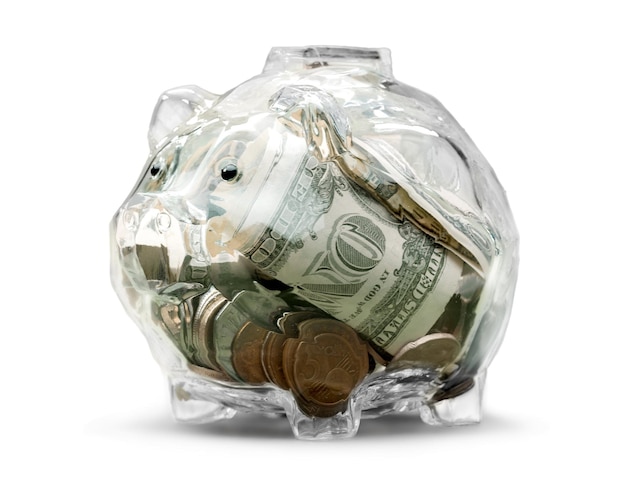 https://img.freepik.com/premium-photo/transparent-piggy-bank-with-coins-banknotes_488220-70628.jpg