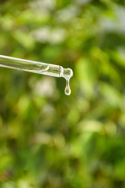 Transparent round drop of hyaluronic acid serum or oil from a glass pipette on a green background