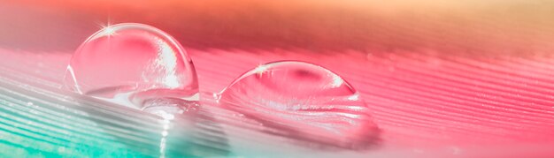 Transparent water droplets on feather in pink green orange\
colors with copy space in macro