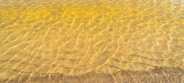 浅い砂浜の湖の透明な水。