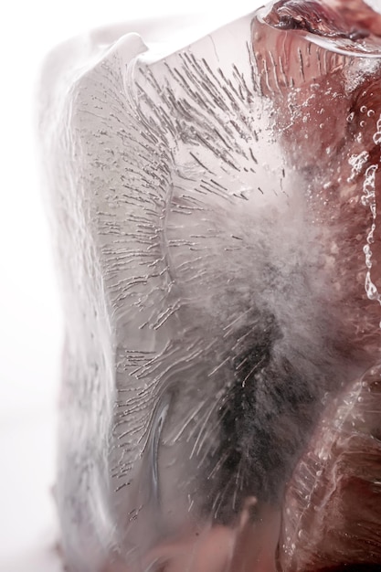 Transparent white ice with flowers frozen in it